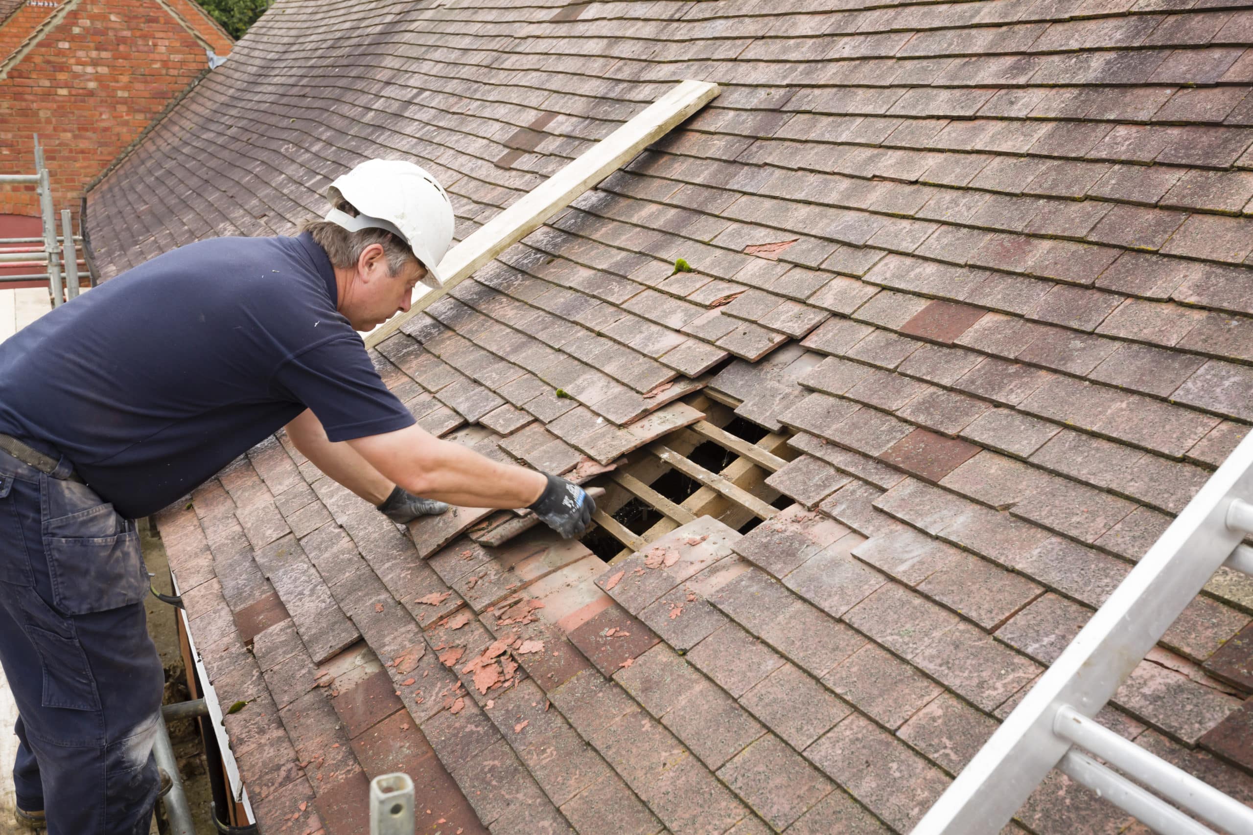 Roof Repair or Replacement? 7 Clear Signs to Watch For