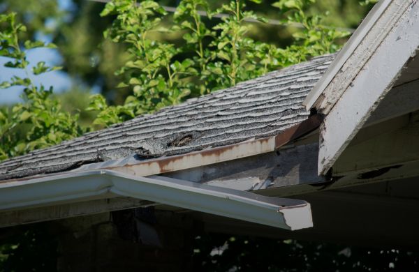 Why Replace Your Roof Now? 4 Reasons Not to Wait for a Leak