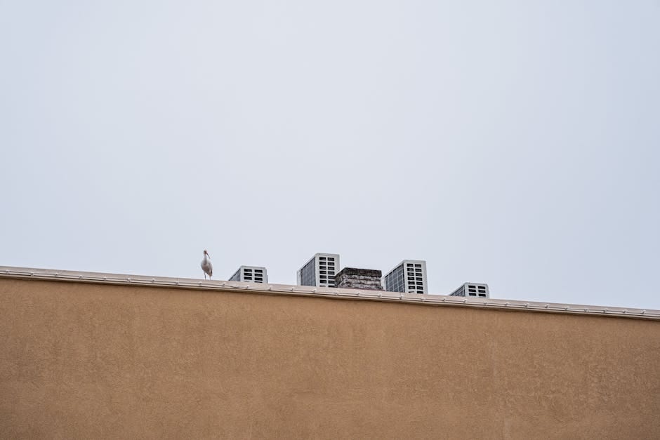 Commercial roof replacement Orlando
